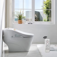 Luxury White Intelligent Bidet Pregnant Woman Ceramic Washdown One Piece Toilet